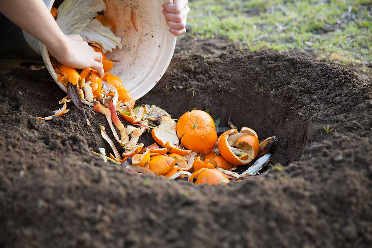 bucce di frutta da usare come fertilizzante