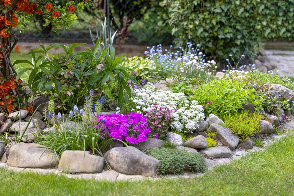 aiuola con pietre e fiori colorati