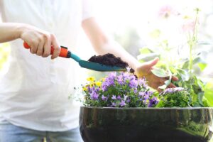 Creare un balcone fiorito senza spendere un centesimo: ecco come farlo con le talee di primavera balcone fiorito con le talee