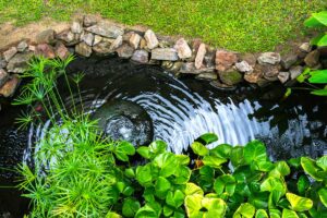 Riciclo creativo: è ora di dare vita alla tua fontana da giardino "fai da te" fontana fai da te giardino