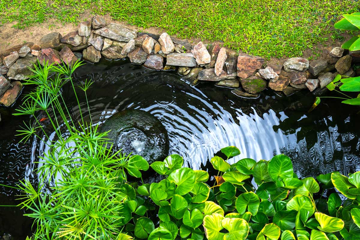 fontana fai da te giardino