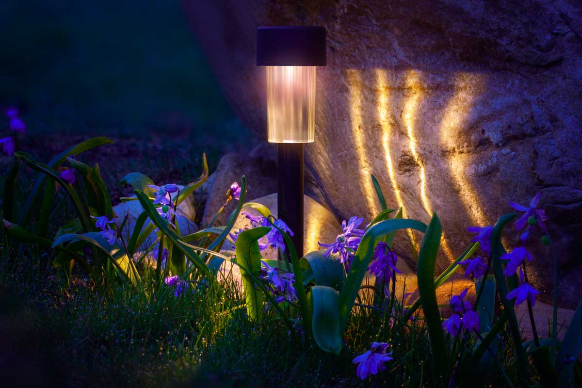 lampione da giardino solare con fiori viola