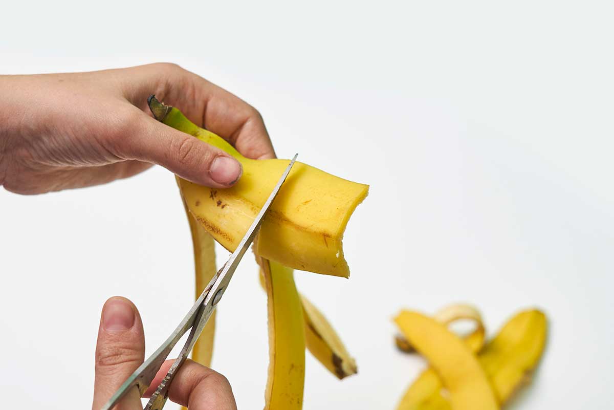 tagliare le bucce di banana per produrre fertilizzante