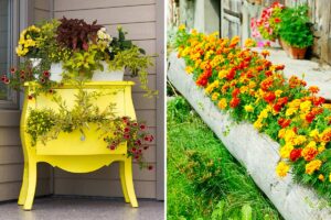 Riciclo creativo: 10 idee per trasformare vecchi legni in fioriere stilose