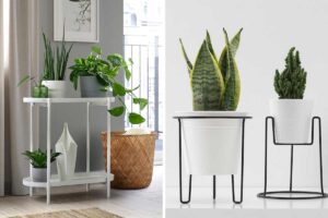 7 nuovi arrivi Ikea tutti da scoprire per far risplendere la tua casa con le piante novità Ikea per piante