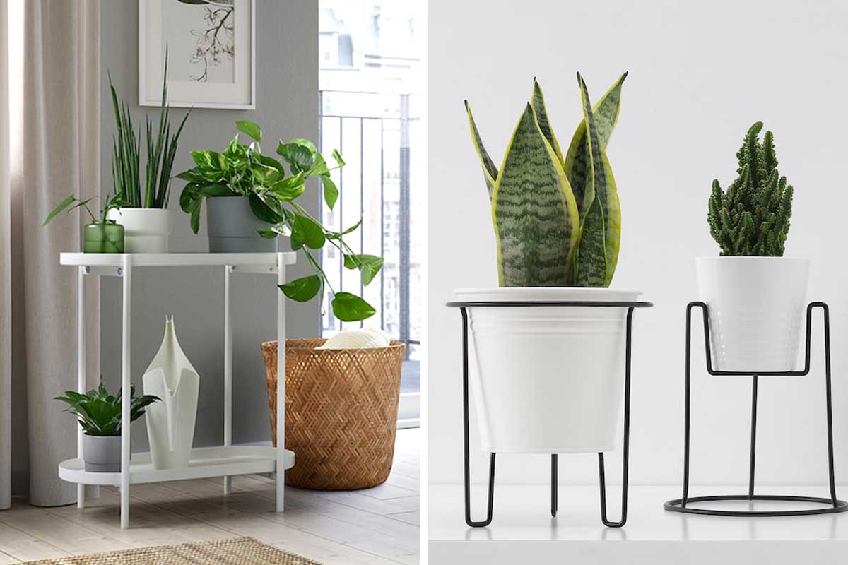 novità Ikea per piante