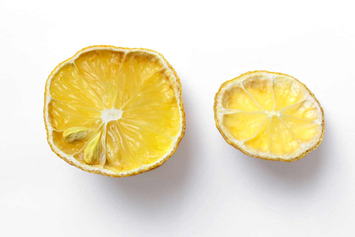 vecchi limoni, usi alternativi