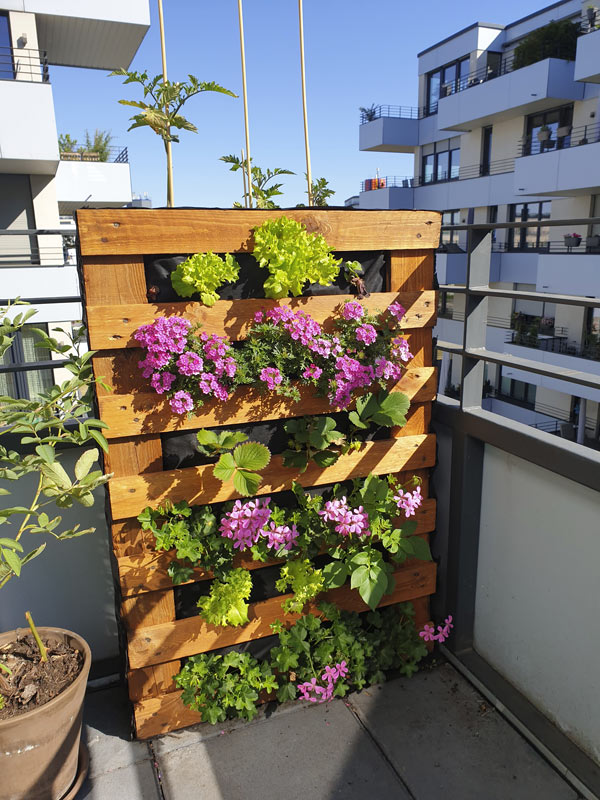 Giardino verticale di pallet fai da te con fiori colorati