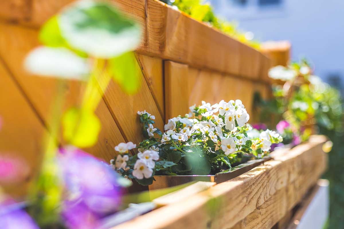 progetti di giardinaggio per un balcone rigoglioso in estate