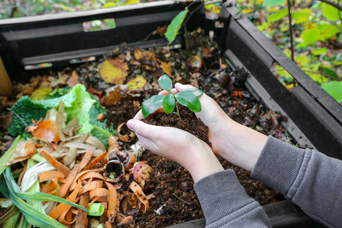 scarti alimentari fertilizzanti fatti in casa