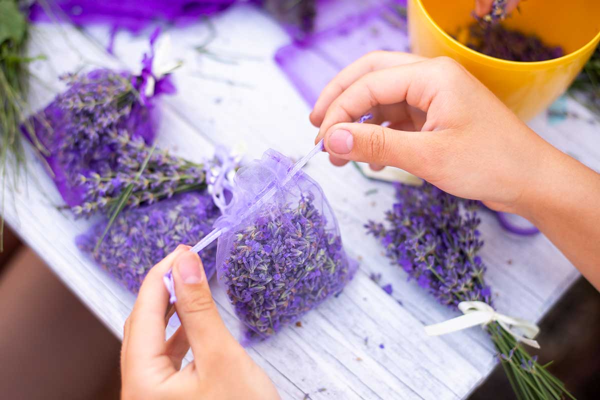 conservare lavanda per profumare casa