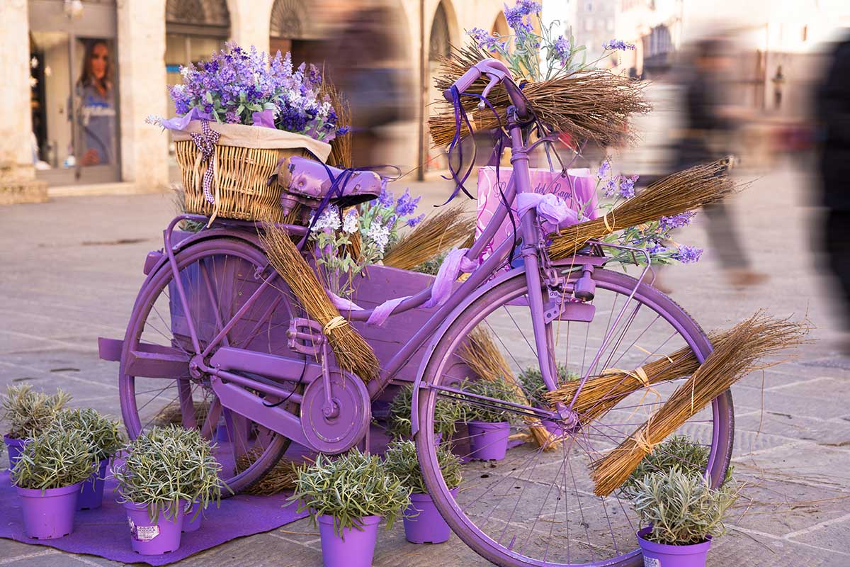 Bicicletta decorata in giardino.
