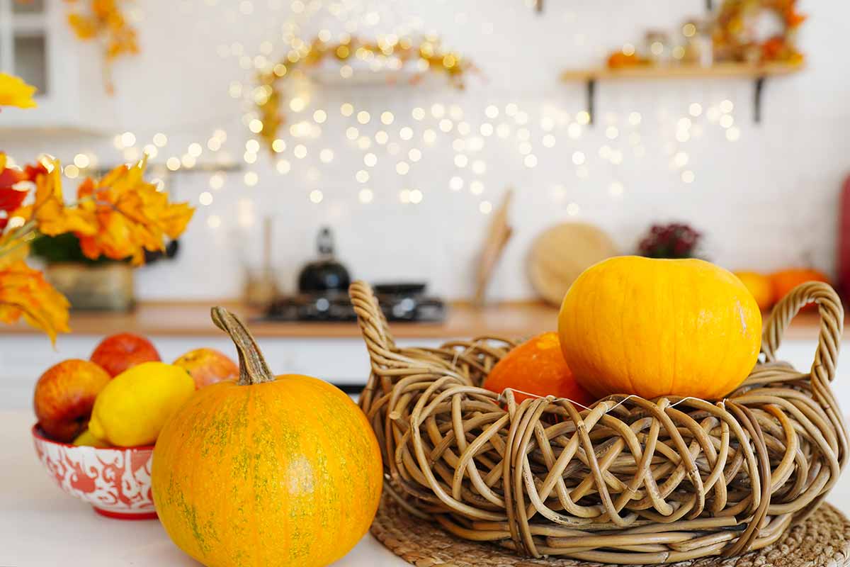 cucina decorata in autunno