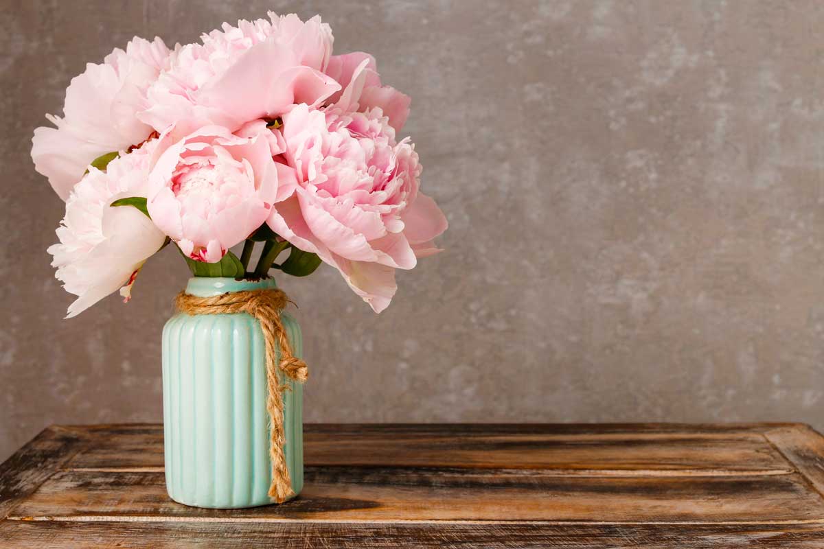 Vaso shabby chic blu pastello con Peonie.