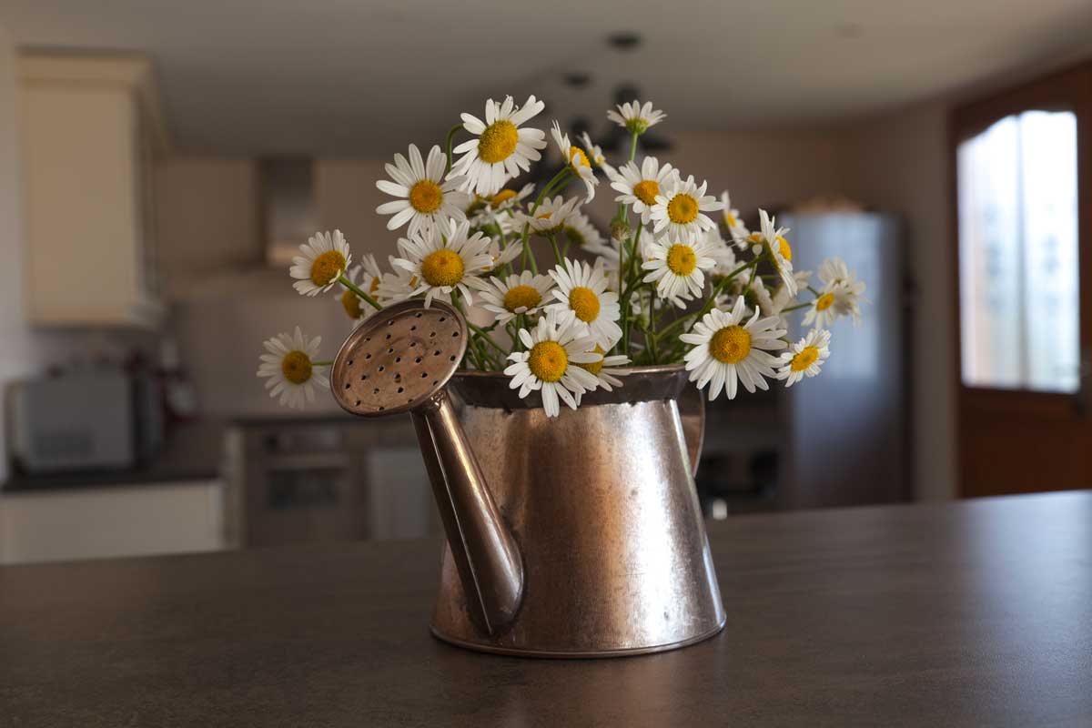 Vaso di margherite in stile shabby chic.