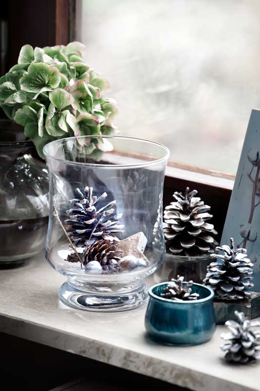 pigne innevate in un vaso di vetro