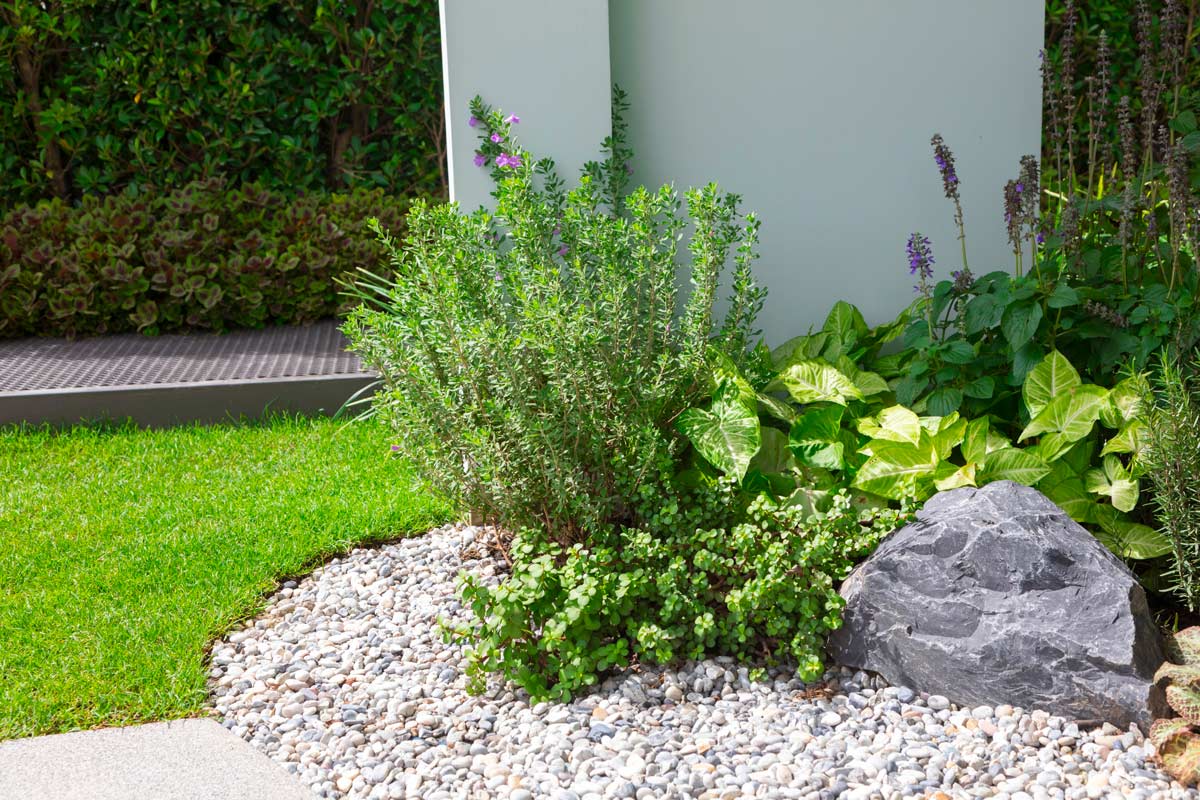 Aiuola in giardino con sassolini bianchi