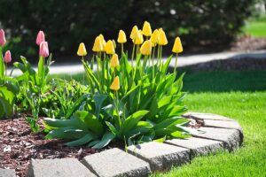 Idee per delimitare le aiuole