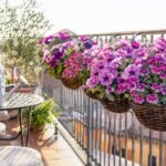 Cesti fioriti appesi su balcone estivo con annaffiatoio e pacciamatura leggera