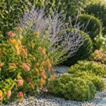 Bordura mediterranea al sole con lantana, sedum e perovskia