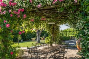 Pergola estiva con rampicanti fioriti che creano ombra naturale in giardino