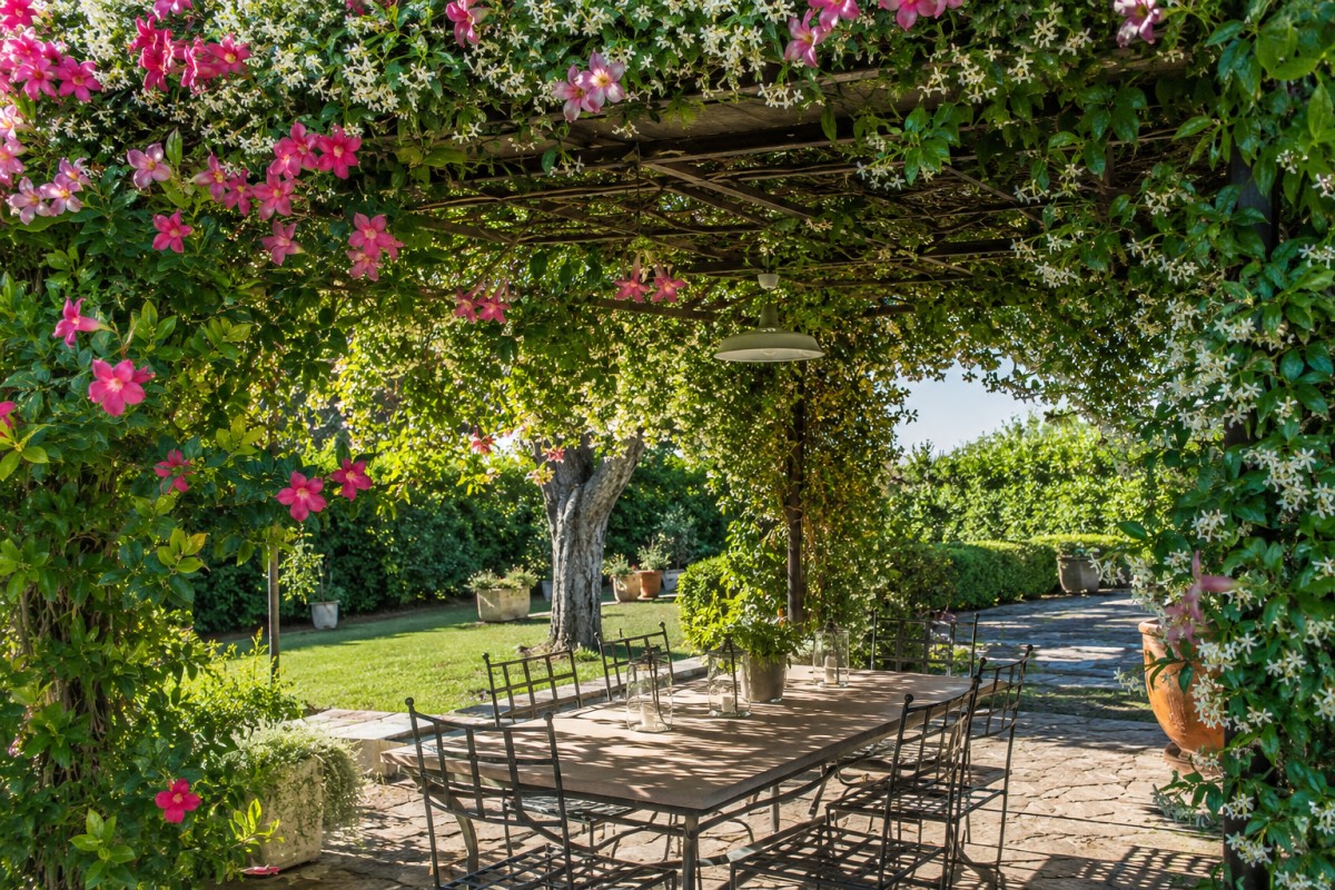 Pergola estiva con rampicanti fioriti che creano ombra naturale in giardino