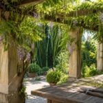 Glicine su pergola a luglio con tralci verdi lunghi da accorciare