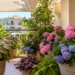 Balcone in ombra con ortensie, caladium e felci resistenti al caldo di luglio