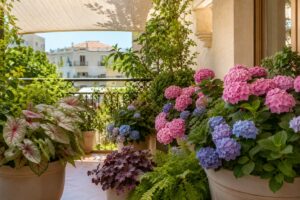 Balcone in ombra a luglio: le piante che restano belle anche quando il caldo secca tutto Balcone in ombra con ortensie, caladium e felci resistenti al caldo di luglio