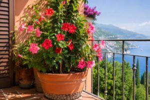 Dipladenia sul balcone a luglio: il controllo che evita foglie bruciate e fiori molli Dipladenia fiorita in vaso su balcone luminoso a luglio
