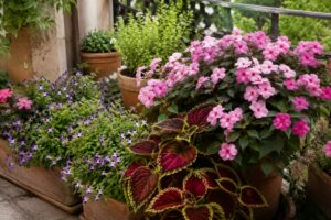 Fioriera in ombra luminosa con torenia, impatiens e coleus