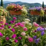 Gomphrena pentas e platycodon in fiore su balcone soleggiato