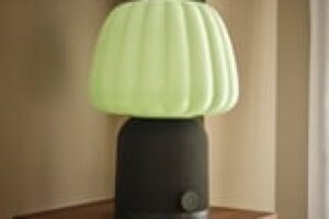 Lampada cassa Bluetooth IKEA KULGLASS verde scuro su mobile in soggiorno