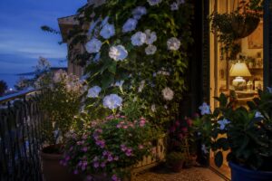 Balcone al tramonto con ipomea bianca, nicotiana e bella di notte