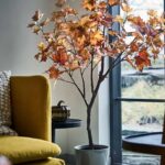 IKEA riempie l’angolo vuoto con un acero autunnale che non chiede luce né acqua