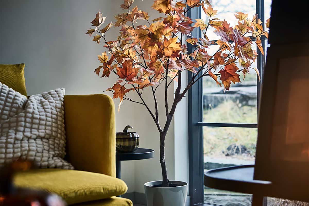 IKEA riempie l’angolo vuoto con un acero autunnale che non chiede luce né acqua