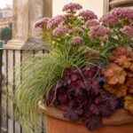 Vaso autunnale con heuchera, carex e sedum su un balcone