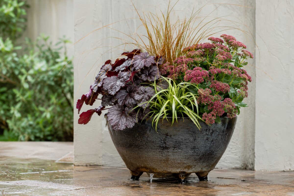 Composizione autunnale finita con foglie colorate e sedum rosa