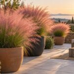 Muhlenbergia capillaris in vaso con infiorescenze rosa su un terrazzo contemporaneo
