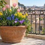 Grande vaso con crochi, muscari, narcisi e tulipani in fioritura scalare