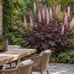 Actaea Pink Spike con spighe rosa e foglie porpora accanto alla zona pranzo in ombra