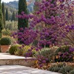 Callicarpa con rami quasi spogli e bacche viola in un giardino autunnale