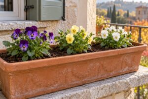 Quanto distanziare le viole cornute nel vaso? La misura esatta per non soffocarle prima del gelo